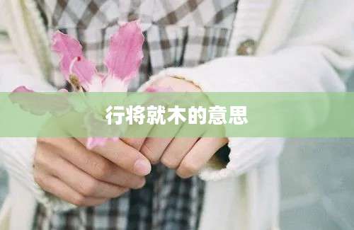 行将就木的意思