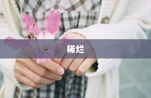 稀烂
