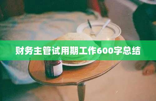 财务主管试用期工作600字总结