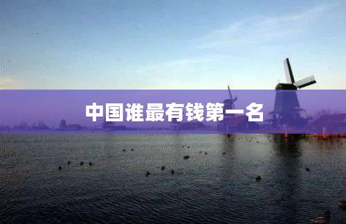 中国谁最有钱第一名