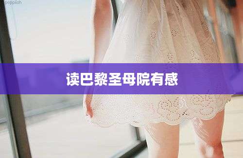 读巴黎圣母院有感