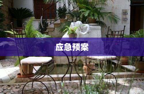 应急预案