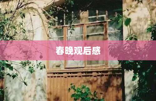 春晚观后感