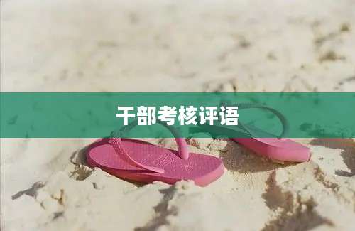 干部考核评语