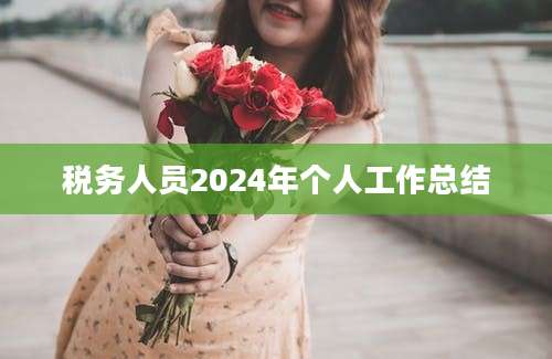 税务人员2024年个人工作总结