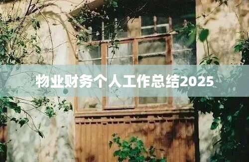 物业财务个人工作总结2025