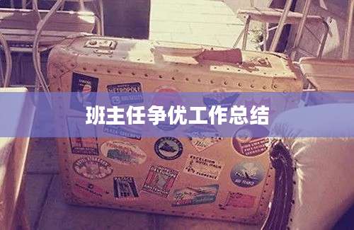 班主任争优工作总结
