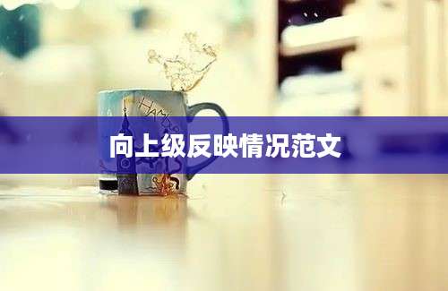向上级反映情况范文