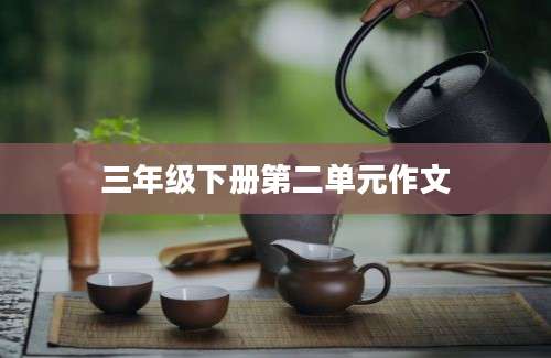 三年级下册第二单元作文