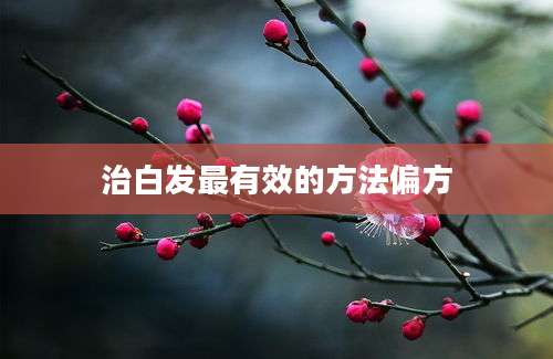 治白发最有效的方法偏方
