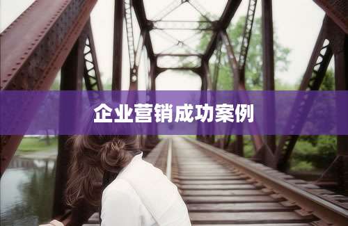 企业营销成功案例