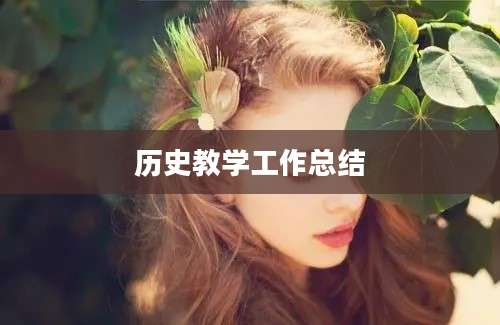 历史教学工作总结
