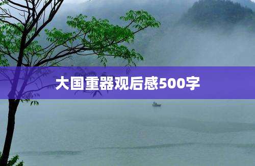 大国重器观后感500字
