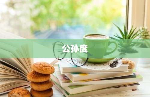公孙度
