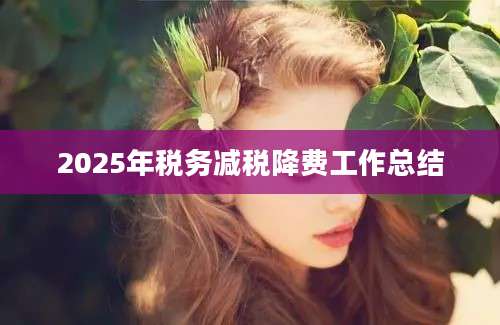 2025年税务减税降费工作总结