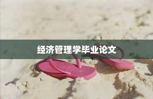 经济管理学毕业论文