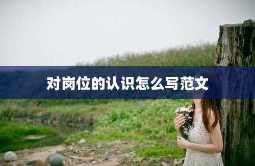 对岗位的认识怎么写范文