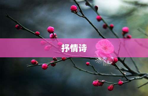 抒情诗