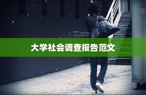 大学社会调查报告范文