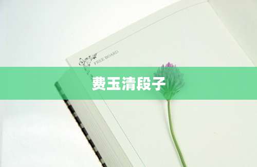 费玉清段子