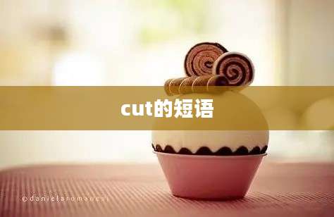 cut的短语