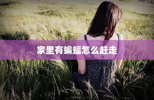 家里有蝙蝠怎么赶走