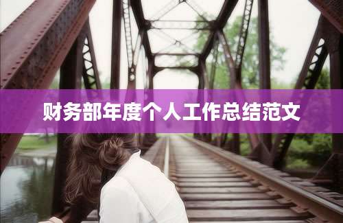 财务部年度个人工作总结范文