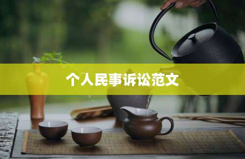 个人民事诉讼范文