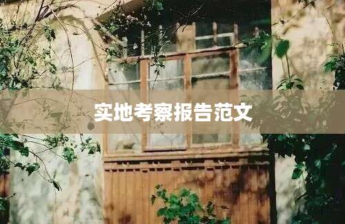 实地考察报告范文