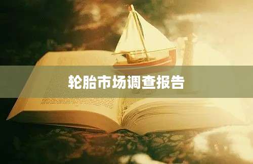 轮胎市场调查报告