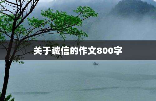 关于诚信的作文800字