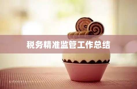 税务精准监管工作总结