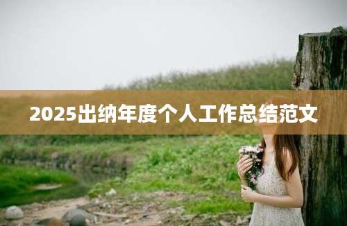 2025出纳年度个人工作总结范文