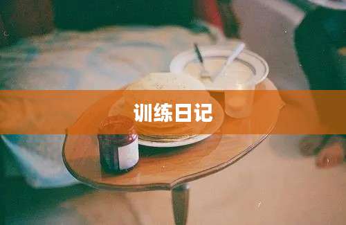训练日记