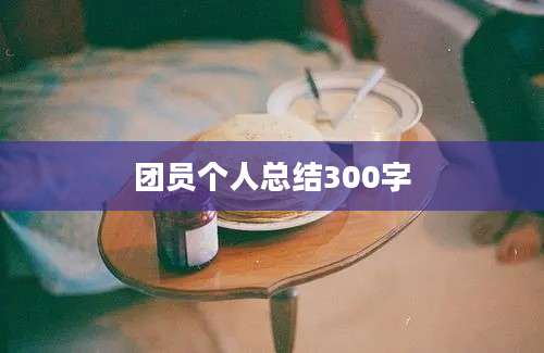 团员个人总结300字