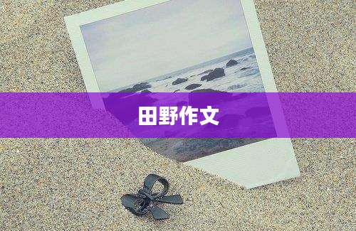 田野作文
