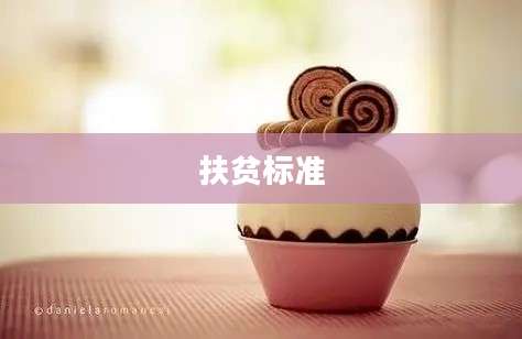 扶贫标准