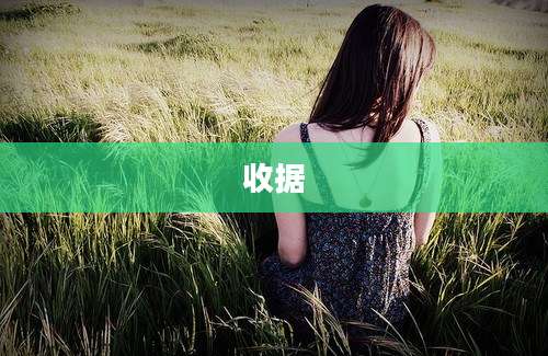 收据