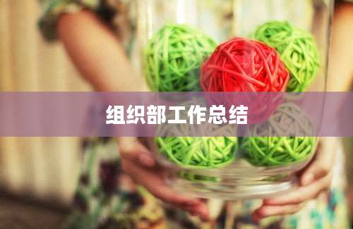 组织部工作总结