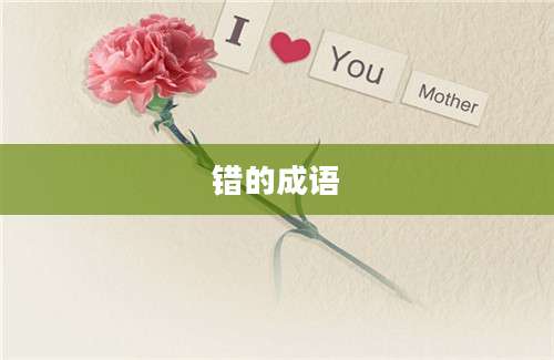 错的成语