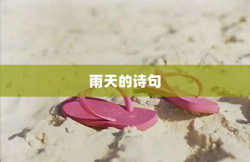 雨天的诗句