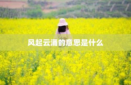 风起云涌的意思是什么