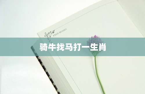 骑牛找马打一生肖