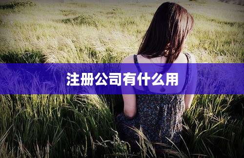 注册公司有什么用