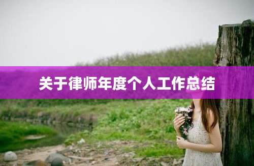 关于律师年度个人工作总结