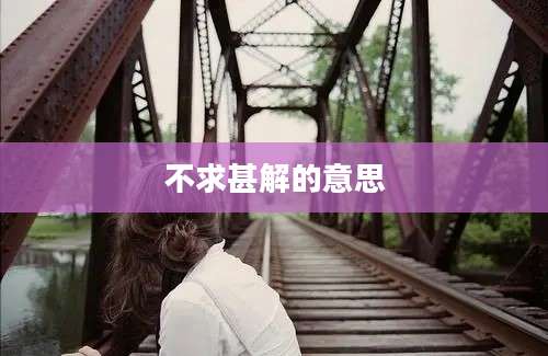 不求甚解的意思