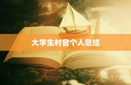 大学生村官个人总结