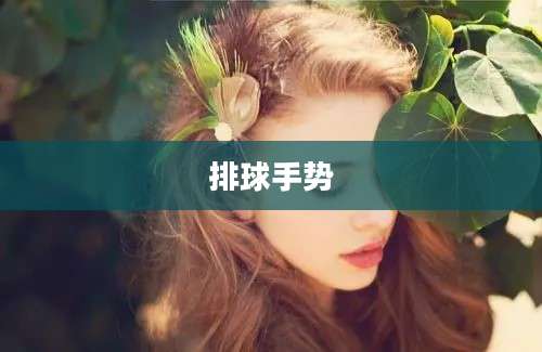 排球手势