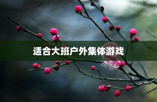 适合大班户外集体游戏