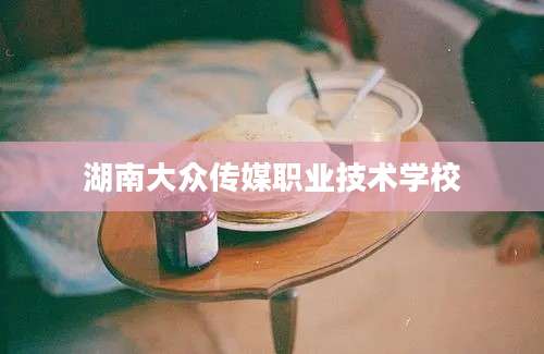 湖南大众传媒职业技术学校